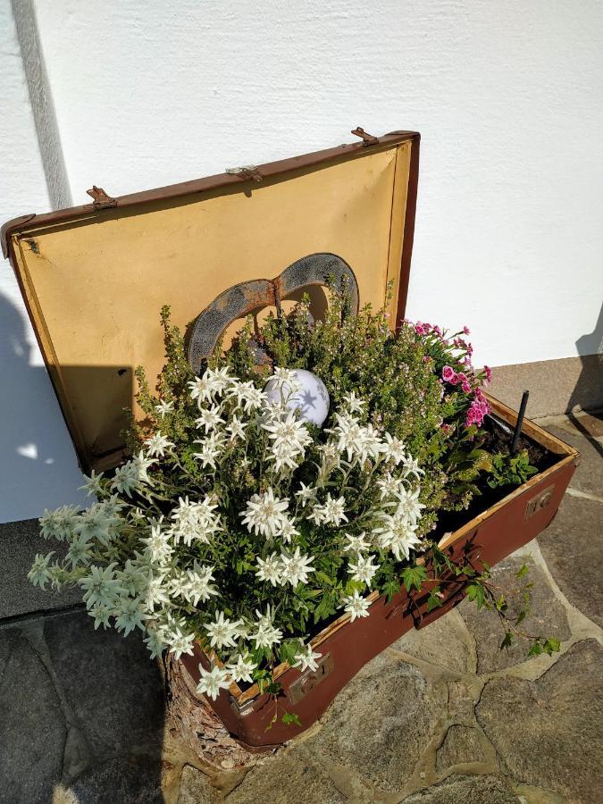 Marie Luise, Landhaus Reith bei Kitzbühel Buitenkant foto